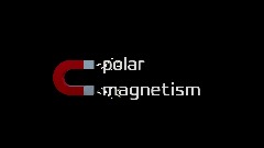 Polar Magnetism