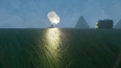 Four little ducks & One mummy duck