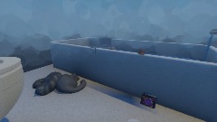 Little Person Big Bathroom