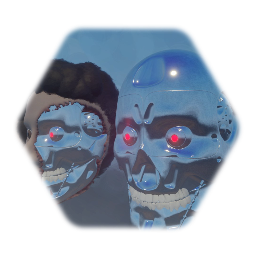 Terminator Head