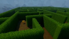 Maze