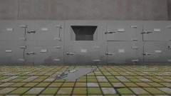 Horror insane asylum