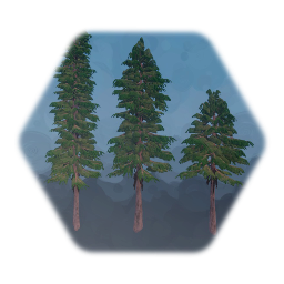 1 sculpt Western Red Cedar Tree