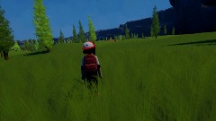 Pokemon Sibinnac Forest Squirtle