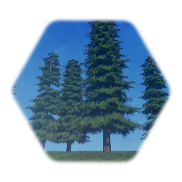 Realistic Pine Practice 1