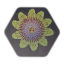 <uipossessvizbody> Dreams Guild - Yellow Poch'il Flower