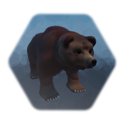 Brown Bear