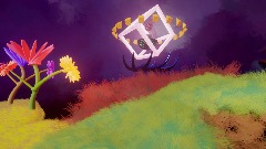 A Walk Through Wonderland