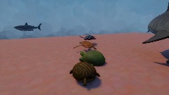 Turtle adventure