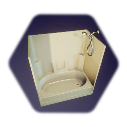 Shower, Curtain, & Bottles