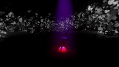 Its always spring somewhere