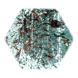 Space  in the future