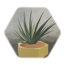 Aloe Like Plant