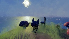 Cat  -  Goes to the light house.