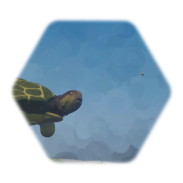 Turtle crash