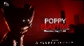 The Poppy collection 2/4 : The phantom package : jp : Ghost pay