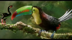 A screenshot taken in Dreams. 1 of 30.