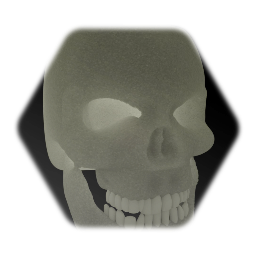 Human Skull