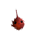 BandowMTL