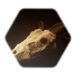 Goat skull
