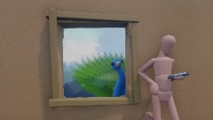 Peacock Spys on someone.