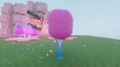 Cotton Candy Adventures