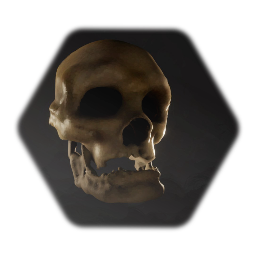 Skull