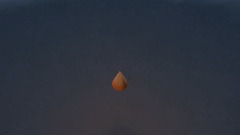 A screenshot taken in Dreams. 14 of 17.