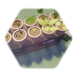Potted Plants Table