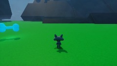 DHM 30 Min Fox flying