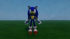 Sonic Flys