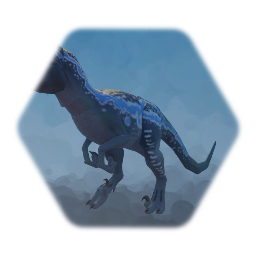 2015_2022  Raptor  (blue)