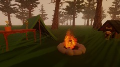 Camping in the woods