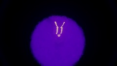 A screenshot taken in Dreams. 1 of 4.