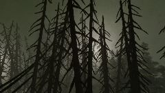 The Capsule in the woods