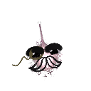 Kobra_Kashmere