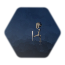 Skeleton target