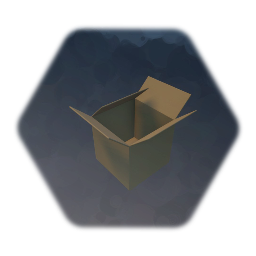 Cardboard Box - Open