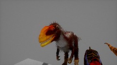 "who here is the coolest