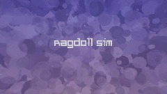 Ragdoll sim