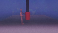 The Life Of Punching A Punching Bag