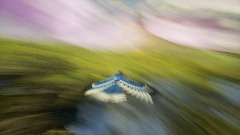 A screenshot taken in Dreams. 3 of 18.