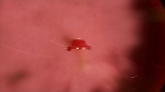 A screenshot taken in Dreams. 6 of 6.