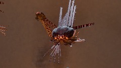 A screenshot taken in Dreams. 7 of 18.