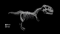 Prehistoric Animal Museum