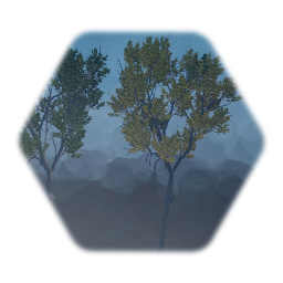 Realistic Silver Maple tree