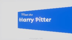 Meet the Harry Pitter