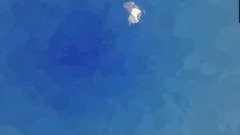 A screenshot taken in Dreams. 3 of 9.