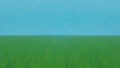 Plane Crash Animation