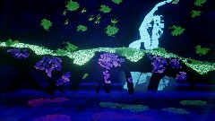 Bioluminescence of the night